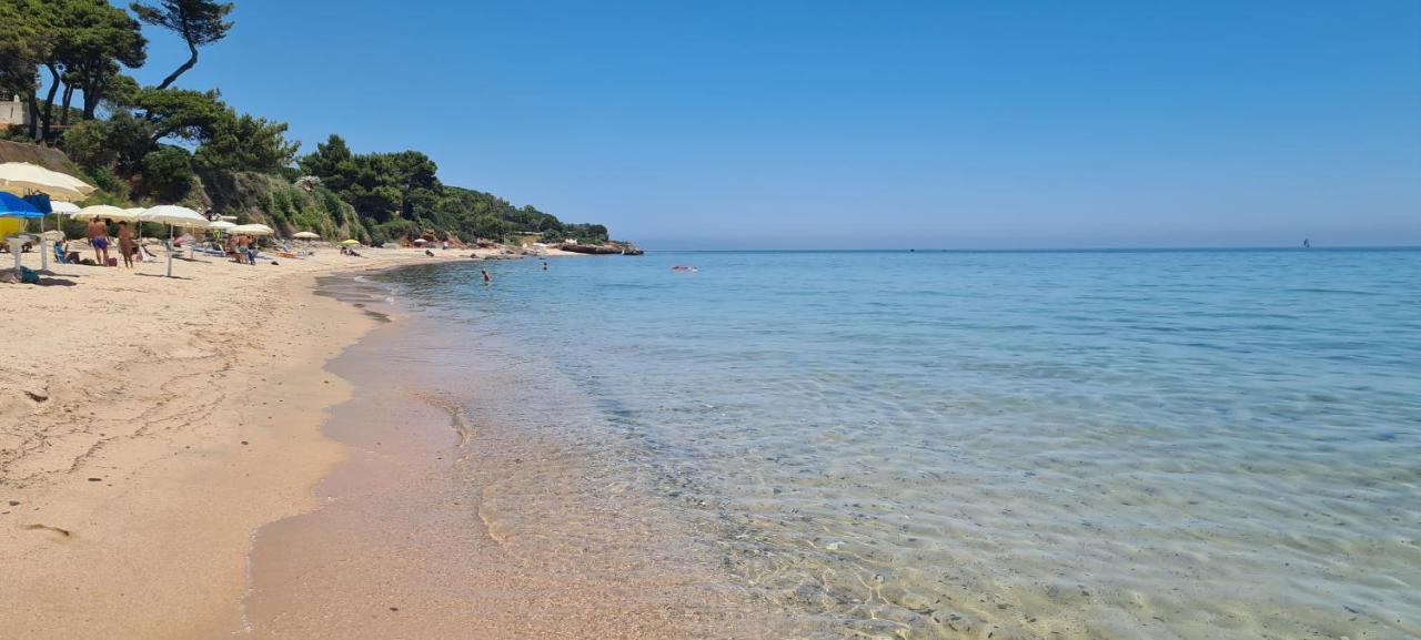 Jungle House - Pineta Is Morus Villa Santa Margherita di Pula Eksteriør billede