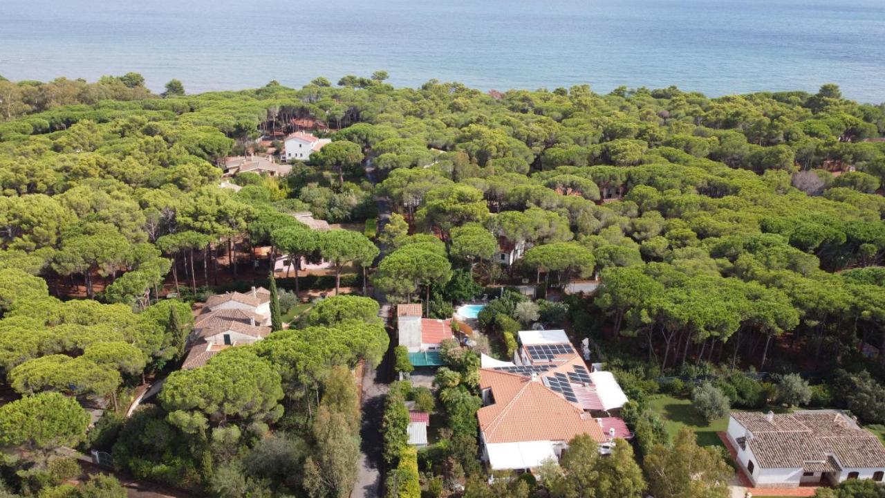 Jungle House - Pineta Is Morus Villa Santa Margherita di Pula Eksteriør billede