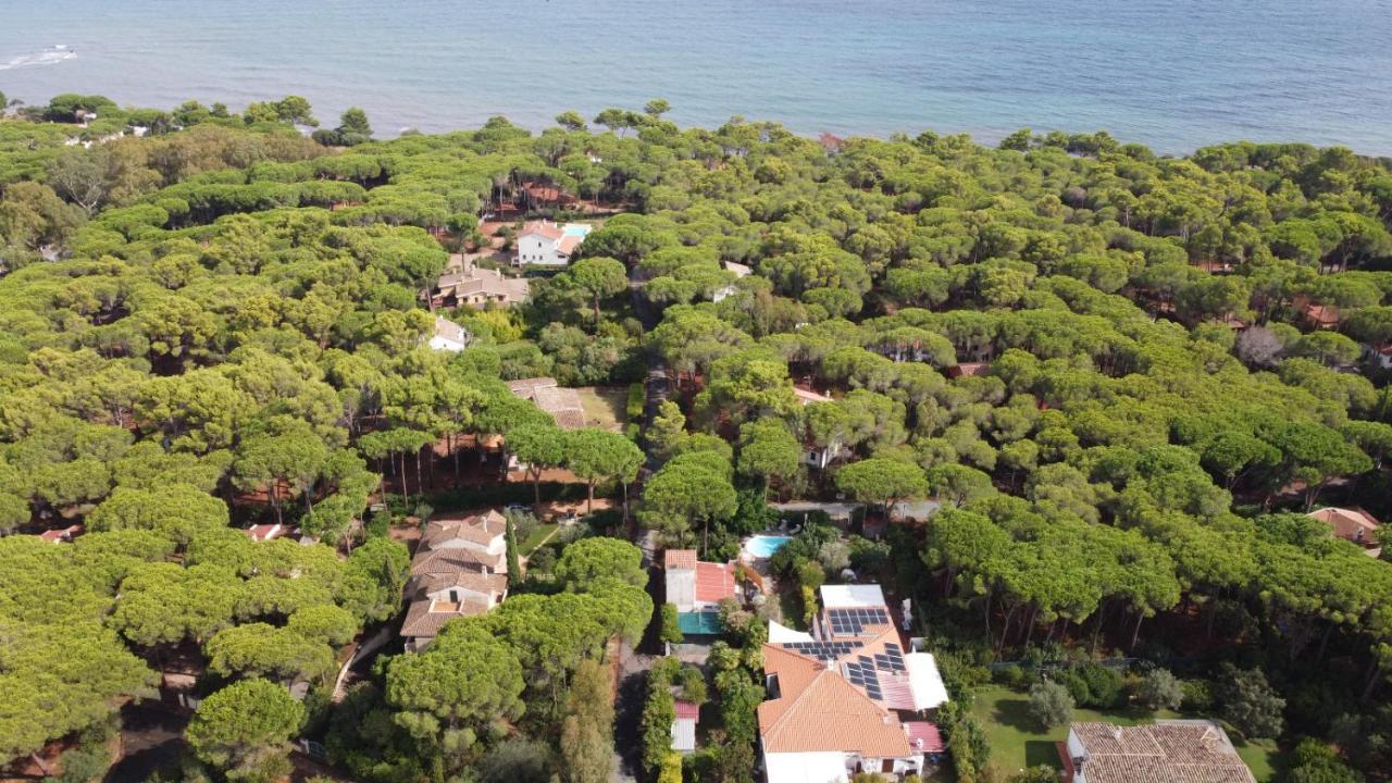 Jungle House - Pineta Is Morus Villa Santa Margherita di Pula Eksteriør billede