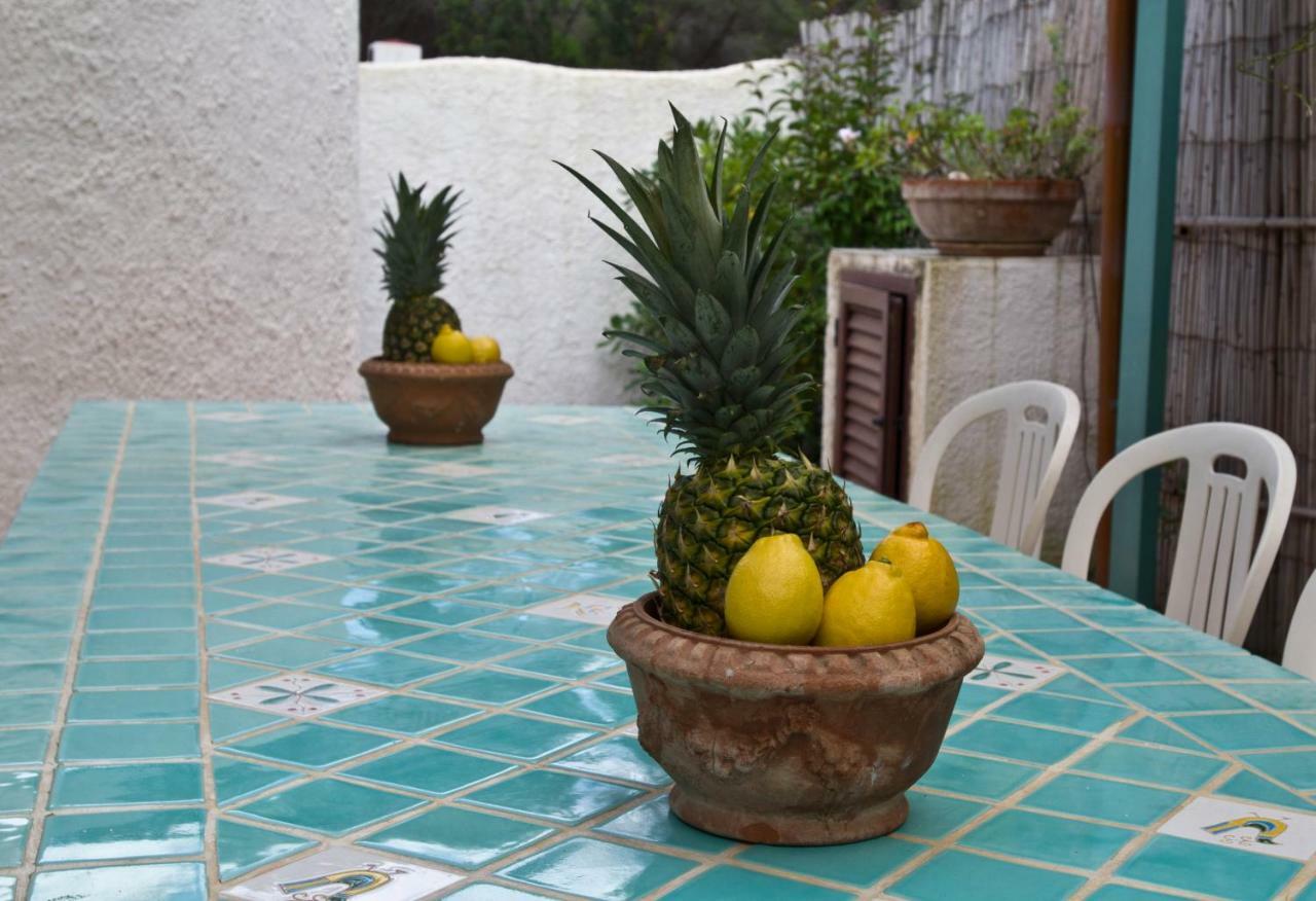 Jungle House - Pineta Is Morus Villa Santa Margherita di Pula Eksteriør billede