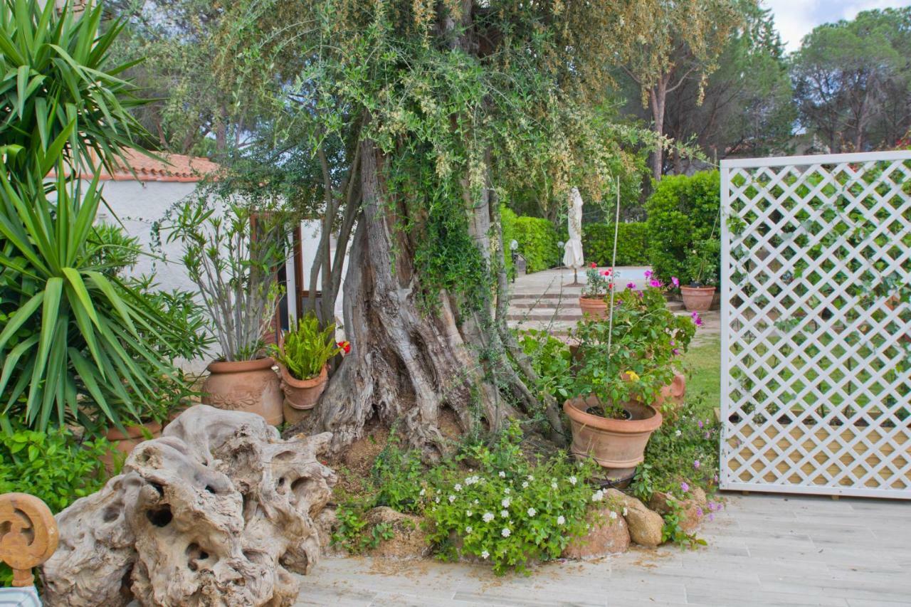Jungle House - Pineta Is Morus Villa Santa Margherita di Pula Eksteriør billede